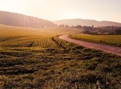 В ЕС озвучили аспекты внедрения закона по рынку земли в Украине