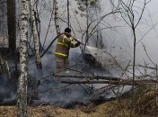 Чернобыльская зона и Житомирская область: спасатели продолжают тушить пожары