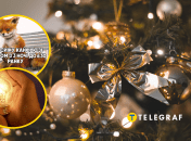 Новогодняя елка и лампочка