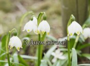 Разобрались, кого поздравляем с Днем ангела 5 апреля