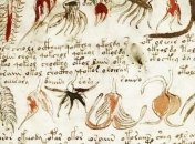 Издательство из Испании выпустит манускрипт Войнича