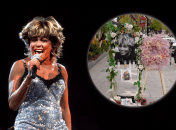 Тина Тернер является музыкальной легендой