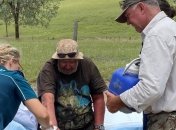 Питался грибами и пил воду из плотины: австралиец заблудился в лесу на 18 дней