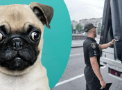 Правоохранители устанавливают все подробности дела