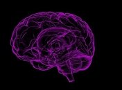 Ученые изобрели технологию борьбы с эпилепсией