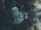 Ілюстрація