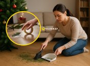 Есть крутой лайфхак, который поможет убрать иголки от елки после праздников