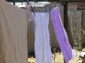 Як випрати кухонні рушники без зусиль