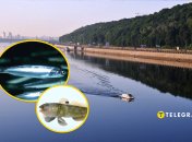 Происходит экспансия рыб из лиманов