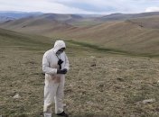 Бубонная чума: в Монголии скончался 15-летний подросток
