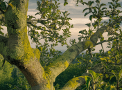 Лишайник может представлять угрозу для яблони (изображение создано с помощью ИИ)