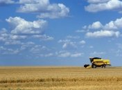 Кабмин планирует упростить процедуру сертификации зерна