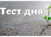 Тест по картинке - что может сказать о вас чаша