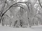 Снегопады в Киеве побили рекорд за 130 лет