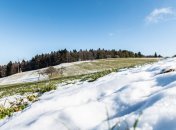 В этот день начинает активно таять снег