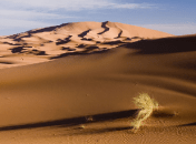 В Украине есть "поющие пески"