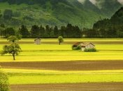 Приметы и обряды на 5 августа -  Трофим Бессонник, Трофимов день