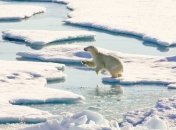 В Арктике вводят 16-летный мораторий на коммерческое рыболовство