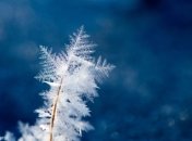 Какой праздник 20 января: народные приметы и запреты