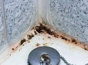 Не забывайте хорошо проветривать влажные помещения