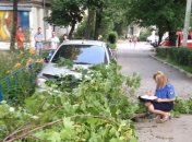 В Харькове на женщину с маленьким ребенком упало дерево