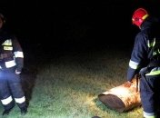 В Чернигове в результате взрыва погиб мужчина