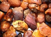 Обнаружены четыре места незаконной добычи янтаря (Видео)