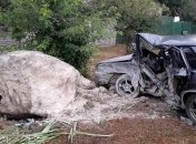 Смертельное ДТП в Днепропетровской области: ВАЗ на полном ходу влетел в бетонный булыжник (фото)