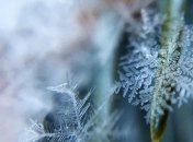 28 ноября - приметы и обряды в Гурьев день