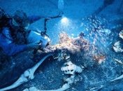 Люди с подводных глубин: шокирующая правда о человечестве