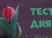 Какие Ваши сильные стороны: психологический тест