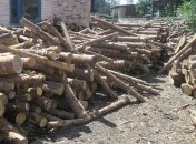 На Ровенщине задержан грузовик с незаконно заготовленной древесиной