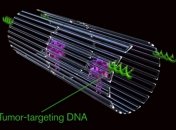 Нанороботы из ДНК-оригами помогут в борьбе с раком 