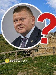 Валерий Залужный