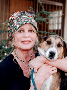 Брижит Бардо