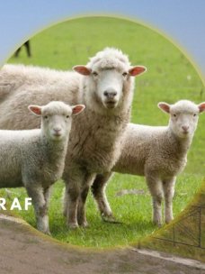 Село Бараново