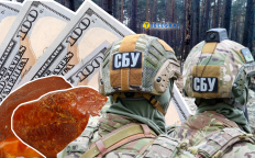 СБУ, янтарь, доллары