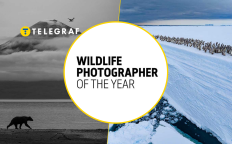 Иллюстративное фото