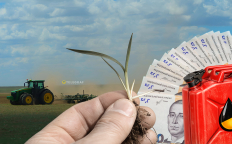 Посевная в разгаре. Фото Коллаж "Телеграфа"