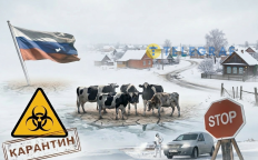 В некоторых округах ввели карантин