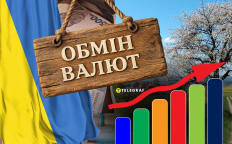 Курс доллара в Украине