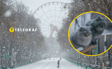 В Харькове ожидается снег и заморозки