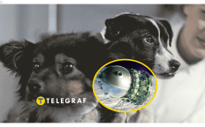 Иллюстративное фото