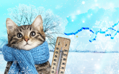 Погода в Украине в начале января