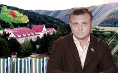 Фирмы из орбиты бывшего нардепа остались без земли. Фото Коллаж "Телеграфа"