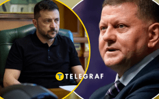 Владимир Зеленский, Валерий Залужный