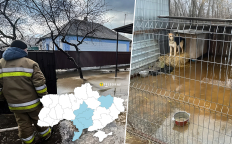 Затопленные домохозяйства