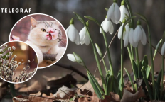 Погода в марте