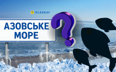 Азовское море