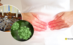 Норовирус и Верховная Рада